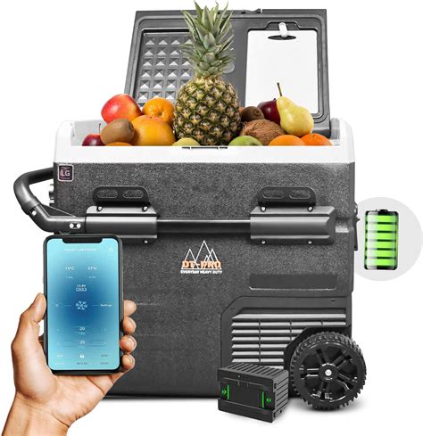 portable battery operated cooler